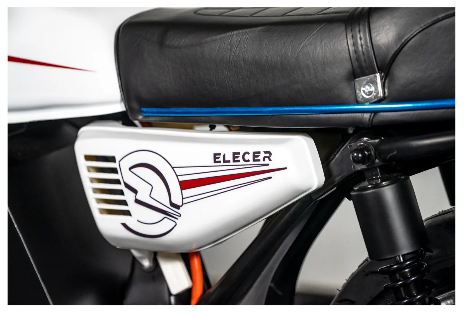 Close-up of the body