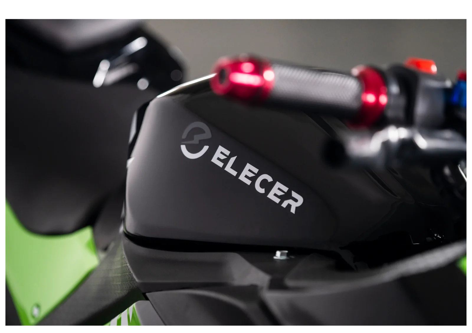 Close-up of the body